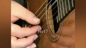 Mauro Giuliani - 120 right hand studies 17-25