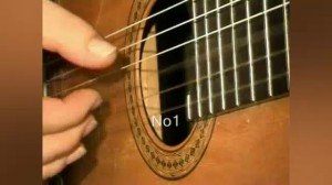 Mauro Giuliani - 120 right hand studies 1-8